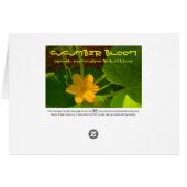 Cucumber Bloom Cards (Back Horizontal)