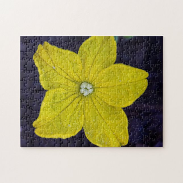 Cucumber Bloom Puzzle (Horizontal)