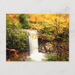 Cucumber Falls Fall Colors Postcard