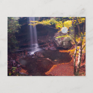 Cucumber Falls, Ohiopyle state park, Pennsylvania Postcard
