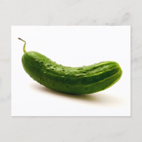 Cucumber Postcard