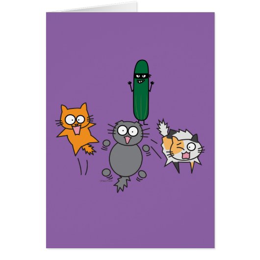 Cucumber Scaring Cats - Cat versus Cucumber Scare (Front)