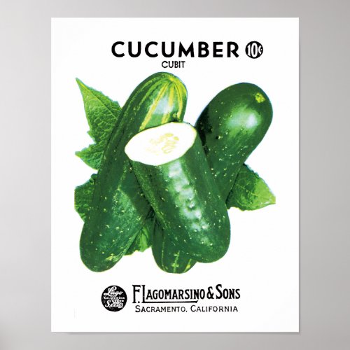 Cucumber Seed Packet Label Poster