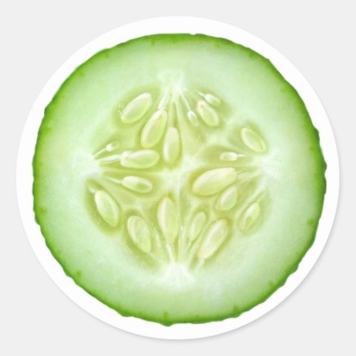 Cucumber slice classic round sticker