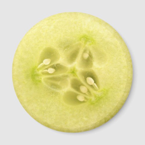 Cucumber slice magnet