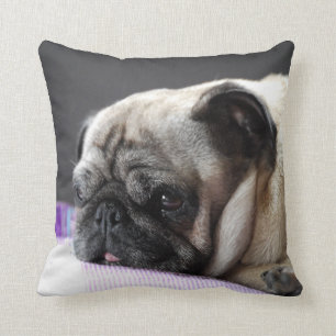 Cuddle Cushion Pug
