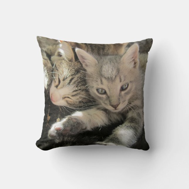 Cuddle Cute Kittens Throw Pillow (Front)