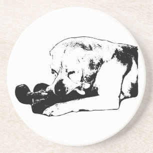 Cuddle the Favorite Coaster