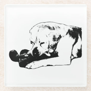 Cuddle the Favorite Glass Coaster