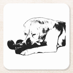 Cuddle the Favorite Square Paper Coaster