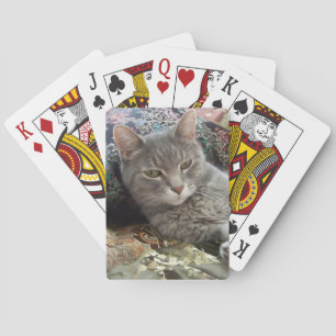 Cuddles Gray Cat Playing Cards