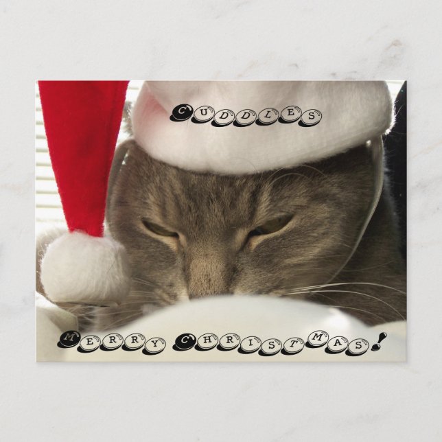 Cuddles, Merry Christmas! post cards (Front)