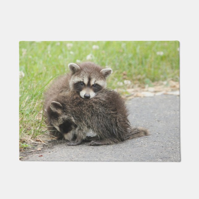 Cuddling Baby Raccoons Doormat (Front)