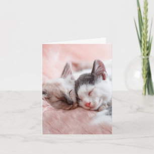 Cuddling Cats - Anniversary Card