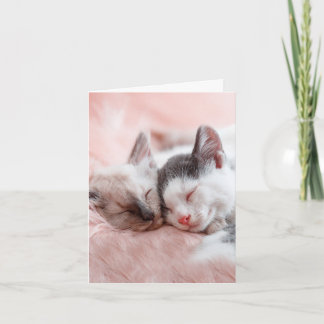 Cuddling Cats - Anniversary Card