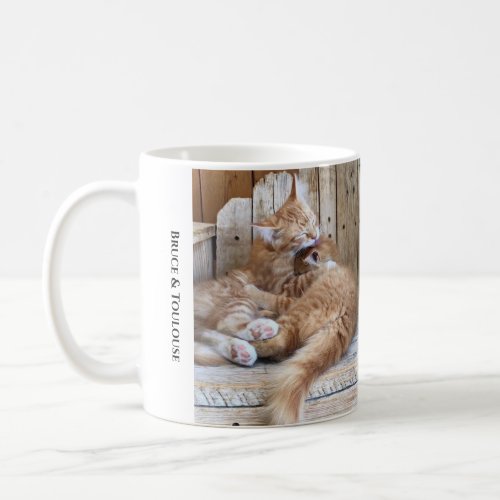 Cuddling Cats  Coffee Mug