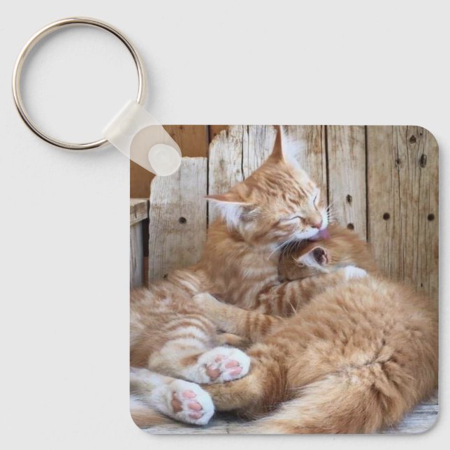 Cuddling Cats Keychain (Front)