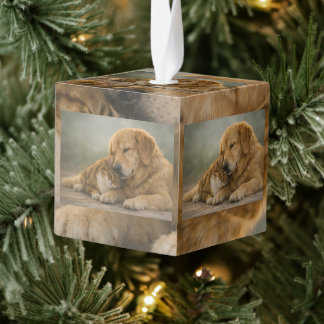 Cuddling Dog & Cat Custom Photo Cube Ornament