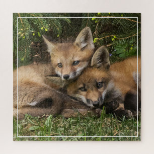Cuddling Fox Kits  Jigsaw Puzzle