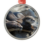 Cuddling Otters Metal Ornament