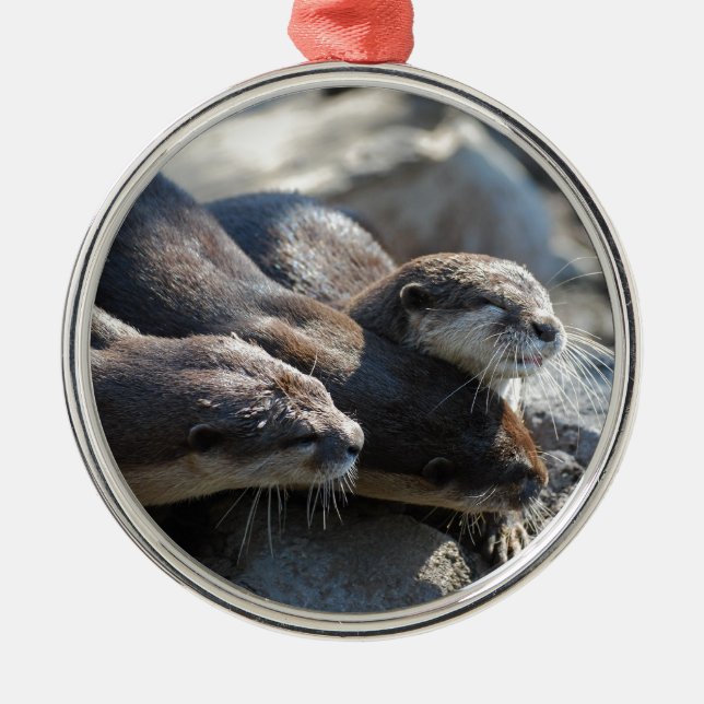 Cuddling Otters Metal Ornament (Front)