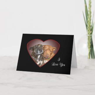 Cuddling Staffy Heart Card