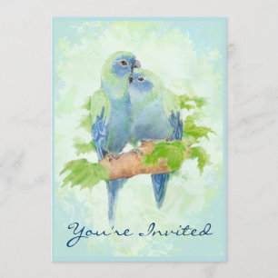 Cuddling Tropical Parrot Wedding Anniversary Invitation