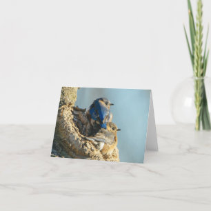 Cuddly Bluebirds Letterpress Thank You Card