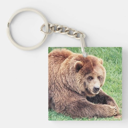 Cuddly Brown Bear Photograph Keychain