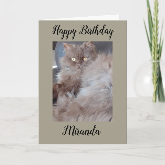 Cuddly Cat Birthday Card (Front)