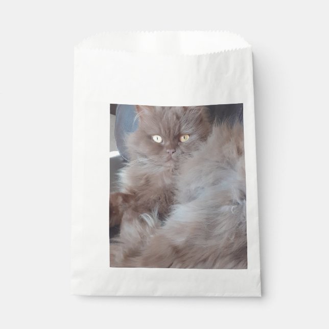 Cuddly Cat  Favor Bag (Front)
