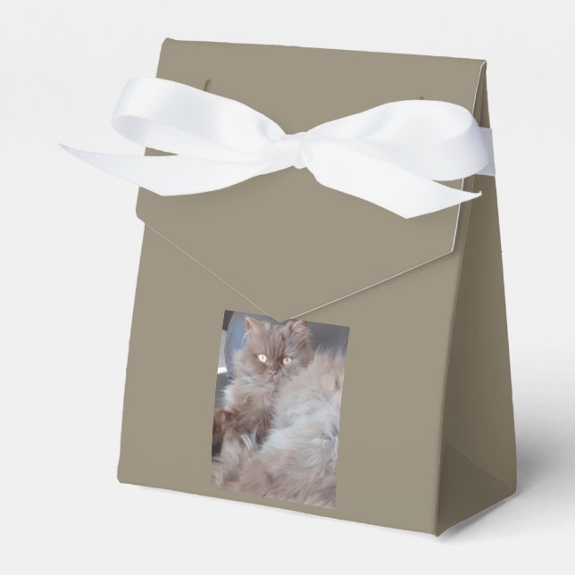 Cuddly Cat Favor Boxes (Front Side)