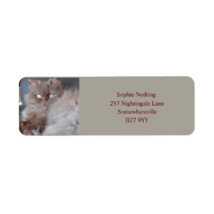 Cuddly Cat Return Address Label