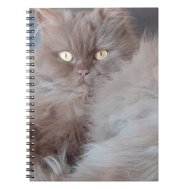 Cuddly Cat Spiral Notebook (Front)