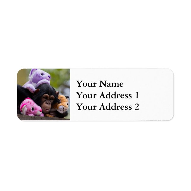 Cuddly Chimp & Animal Friends Label (Front)