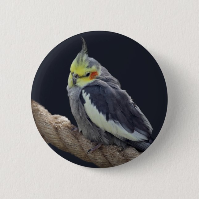 Cuddly Cockatiel Badge Button (Front)