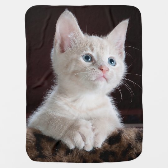 Cuddly Cute Kitten Swaddle Blanket
