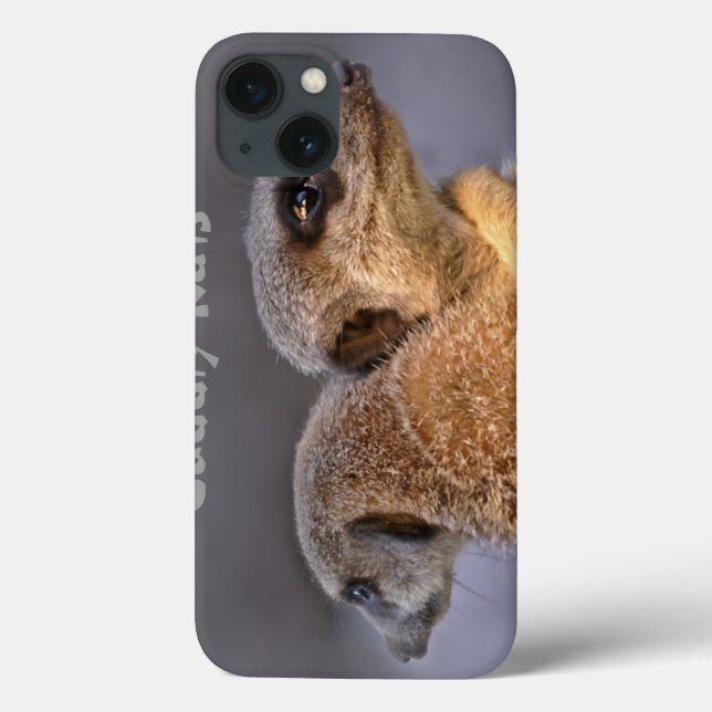 Cuddly Kats iPad Case (Back)