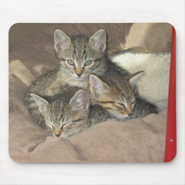 Cuddly Kittens Mouse Pad (Front)
