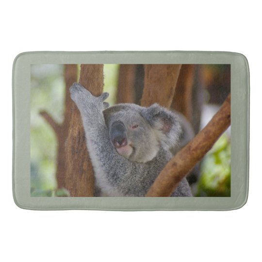 cuddly koala bear