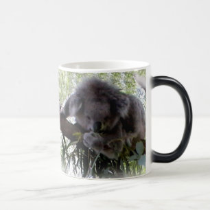 Cuddly Koala Color Morph Mug