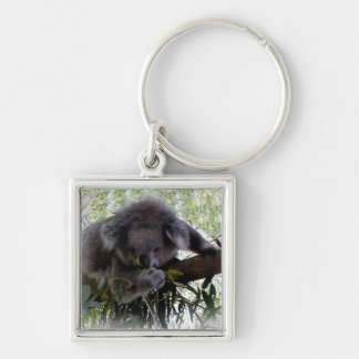 Cuddly Koala Keychain