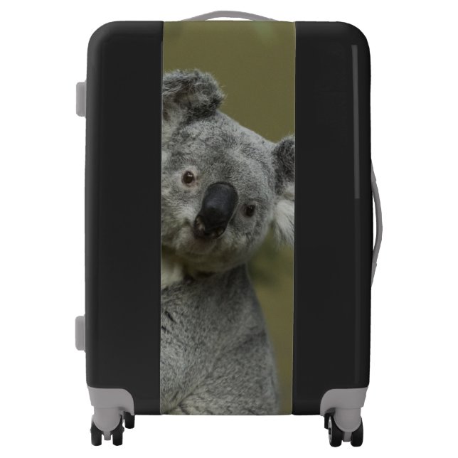 Cuddly Koala Luggage (Front)
