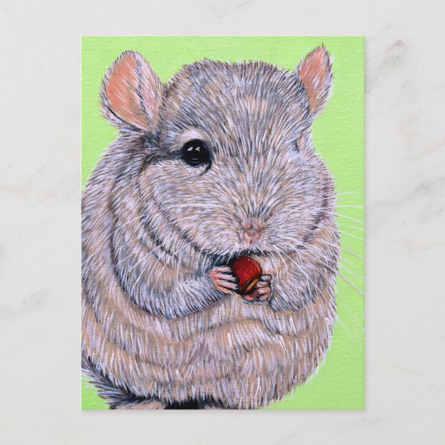 Cuddly Nibbling Chinchilla Painting Postcard (Front)