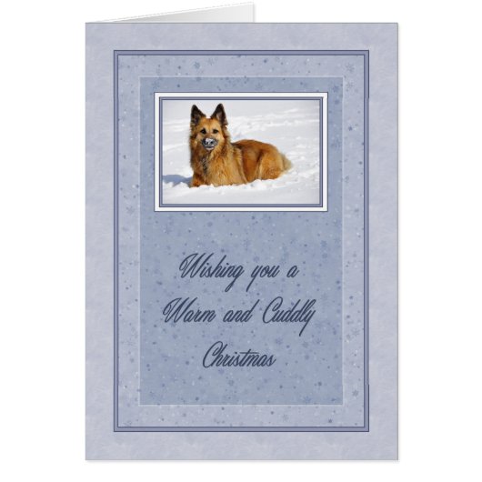 Cuddly Pup Christmas Cards (Front)