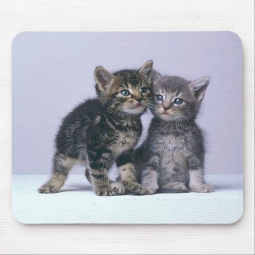 cuddy kittens mouse pad