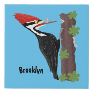Cue funny Pileated woodpecker cartoon illustration Faux Canvas Print