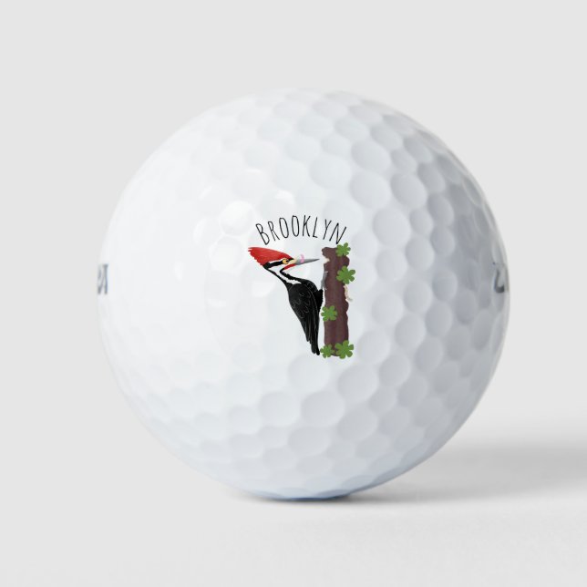Cue funny Pileated woodpecker cartoon illustration Golf Balls (Front)
