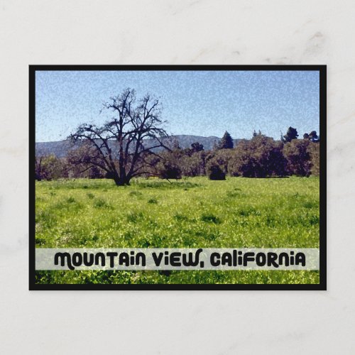 Cuesta Park Annex Mountain View California Postcard