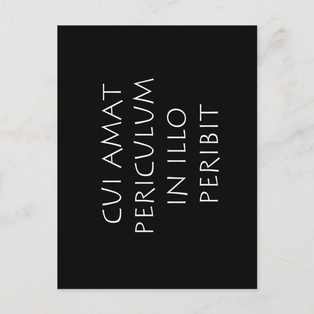 Cui amat periculum in illo peribit postcard (Front)